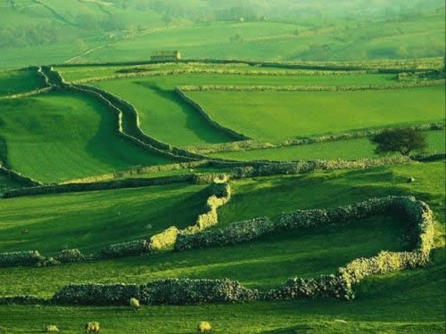 Земельный участок