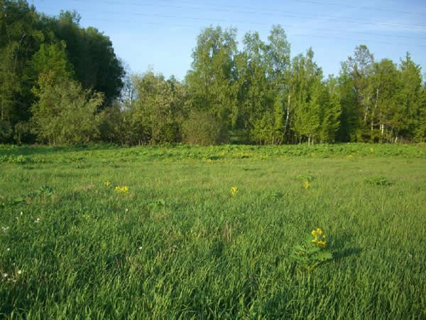 Земельный участок