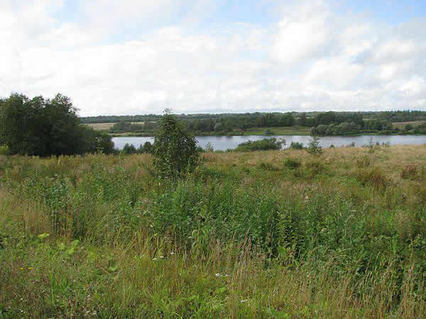 Земельный участок